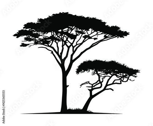 Wild African Acacia Tree Silhouette Collection Vector Template