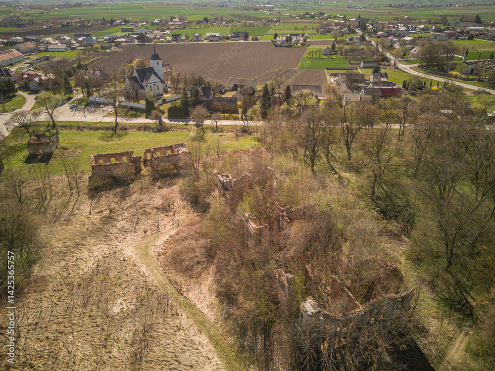 Ruins of the palace in Wlostów, Poland.