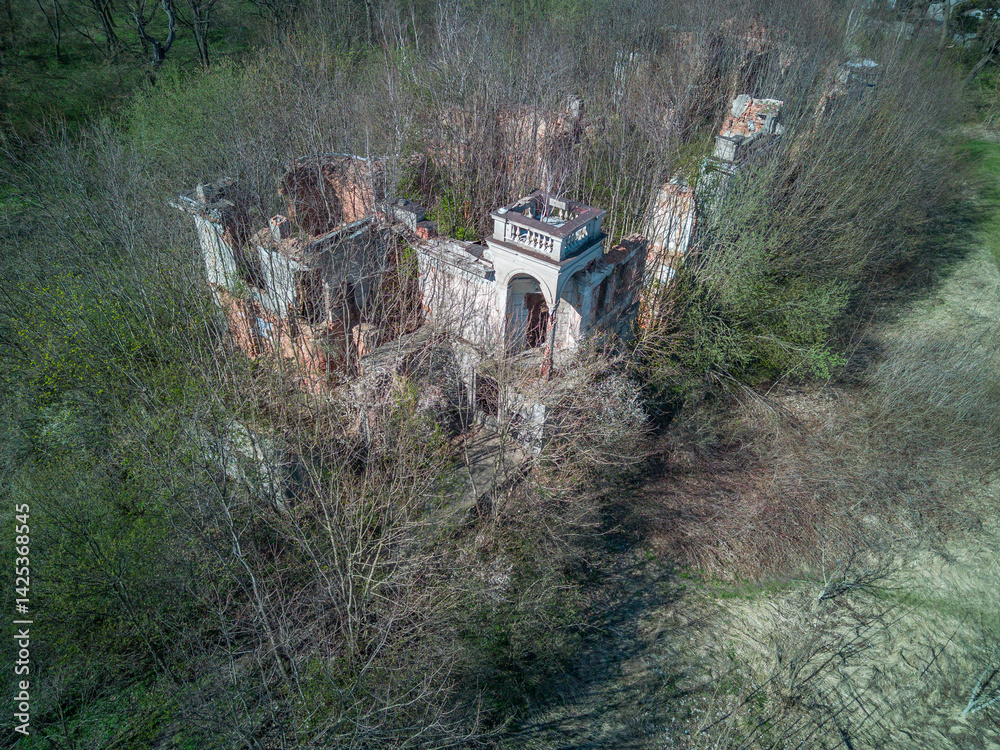 Ruins of the palace in Wlostów, Poland.