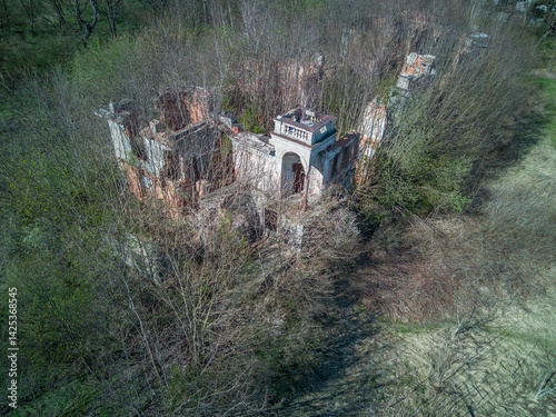 Obraz na płótnie Ruins of the palace in Wlostów, Poland. w salonie