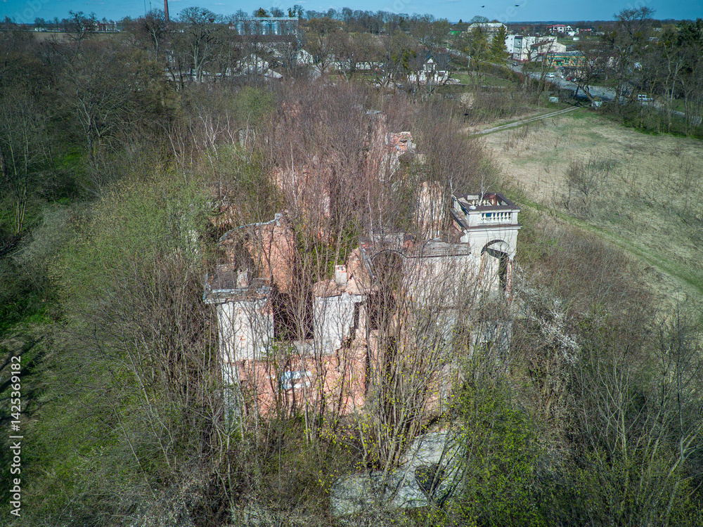 Ruins of the palace in Wlostów, Poland.