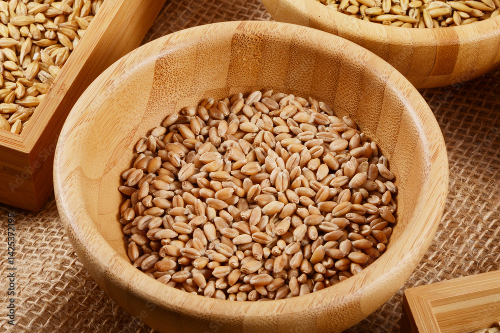 Obraz premium Weizen, Winterweizen, Triticum aestivum L. Samen, Körner