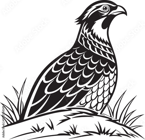 Chukar Partridge bird silhouette vector Illustration