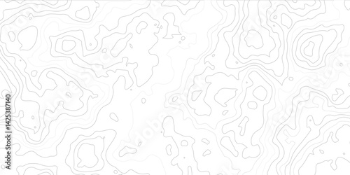 Topographic map patterns, topography line map. Vector outline topography area doodle wire counter map background. Black and white topography contour lines map isolated on white background. 