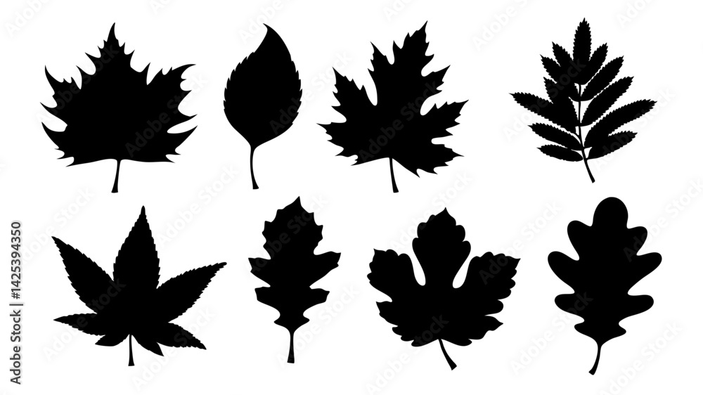 Obraz premium set of various types of leaves silhouette vector on white background