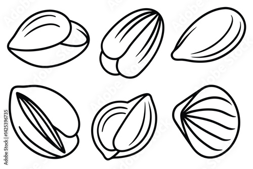 mussels line art detailed black and white drawing