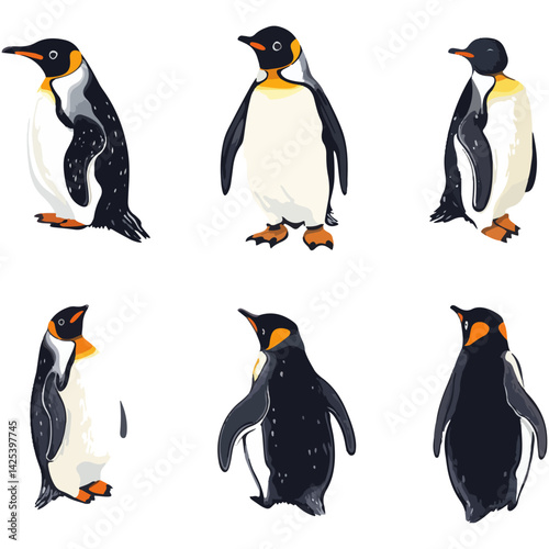 penguin, animal, vector, transparent background, various