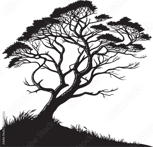 Cypress tree silhouette vector printable design