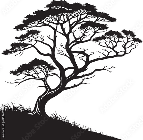 Cypress tree silhouette vector printable design