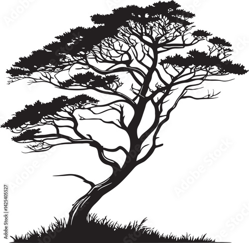 Cypress tree silhouette vector printable design