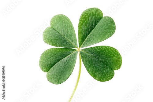 A vibrant four-leaf clover, a symbol of luck and good fortune, stands out against a pure white background with crisp detail and bright green hues.