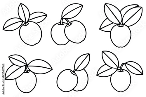 natal plum line art hand-drawn nature inspired design