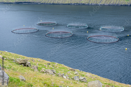 Sustainable Fishing and Salmon Farming in the Faroe Islands