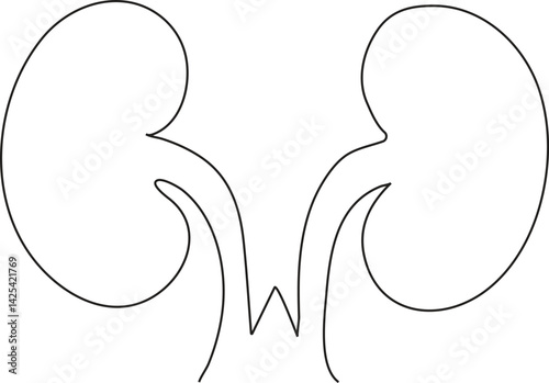 Human kidneys single line art Human organ continues line art vector illustration. vector