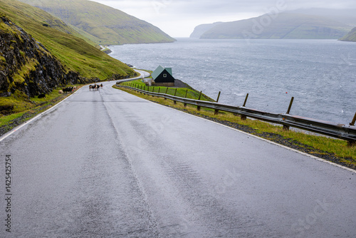 Driving in Faroe Islands, near Nes
