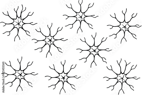 neuron structure line art black and white artwork