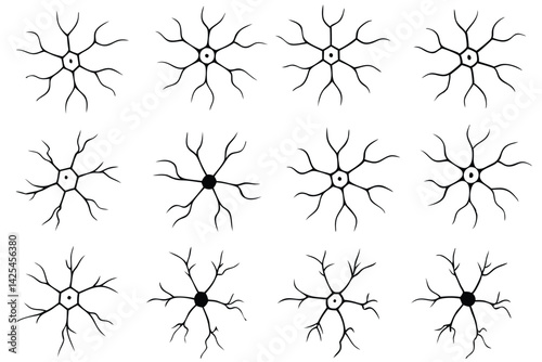 neuron structure line art scientific anatomy drawing