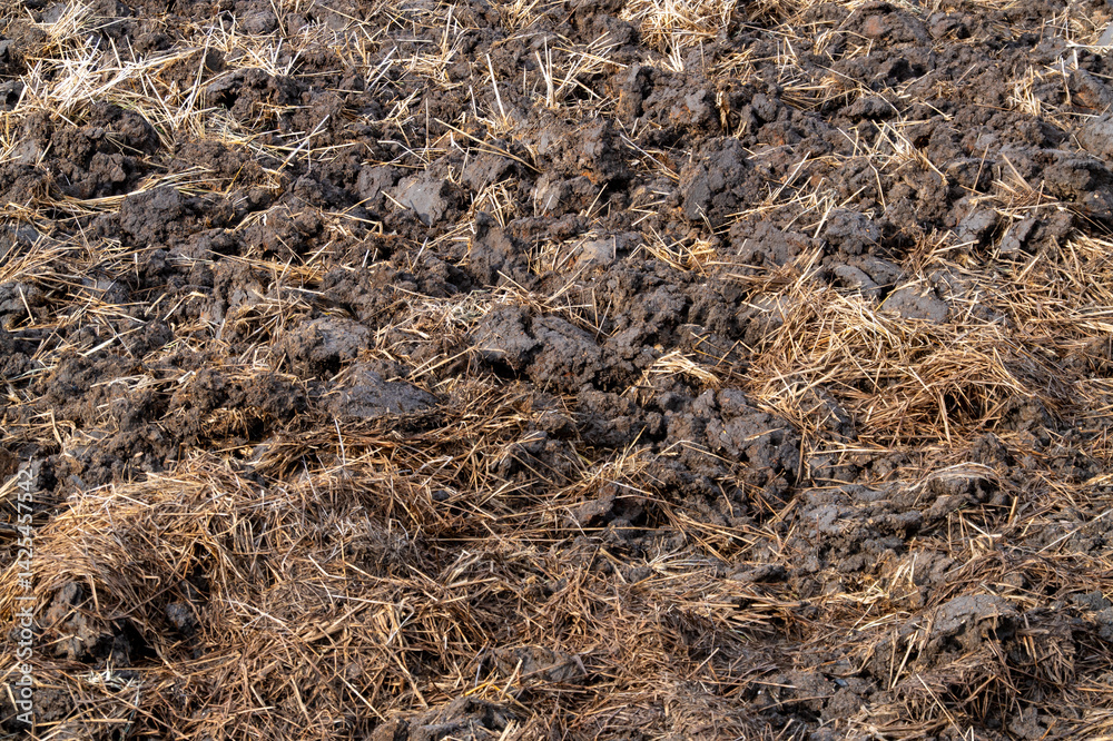 Ground-level view of sustainable agricultural practices for soil management in rural environments