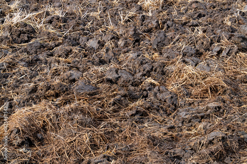 Obraz na płótnie Ground-level view of sustainable agricultural practices for soil management in rural environments w salonie