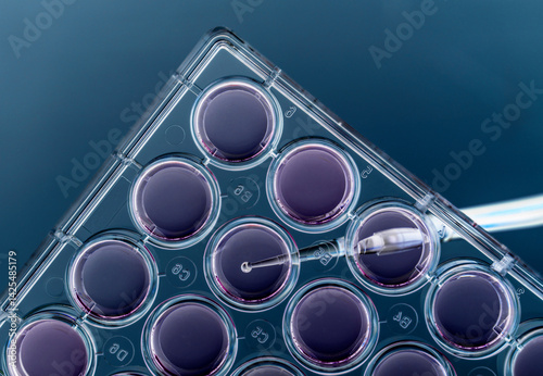 Cell cultures