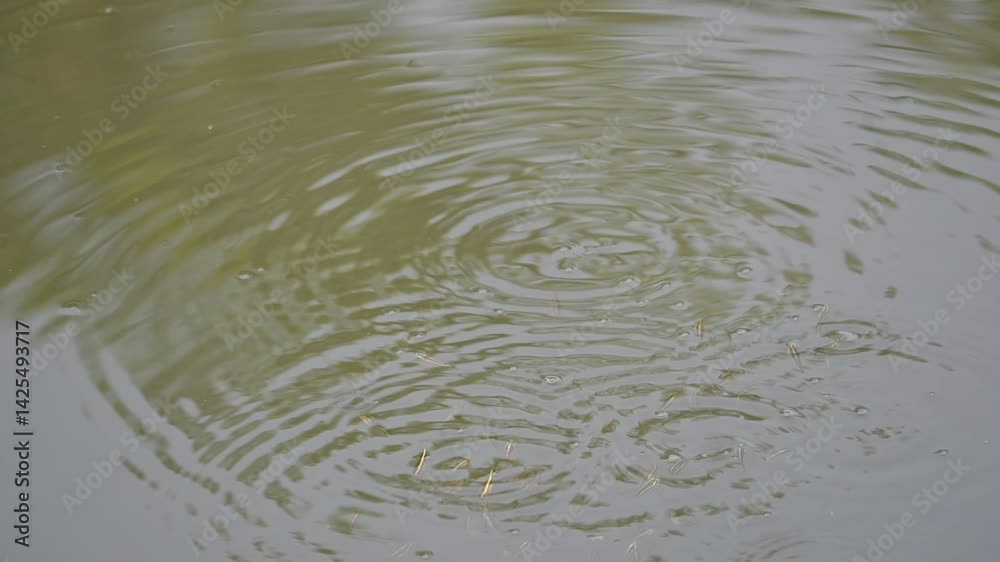 Small fishes playing on the watersurface. During summers, when the water level in the river goes down, the fishes come up from below and release bubbles. Tiny fishes. Slow motion video.
Small fishes playing on the watersurface. During summers, when the water level in the river goes down, the fishes come up from below and release bubbles. Tiny fishes. Slow motion video.