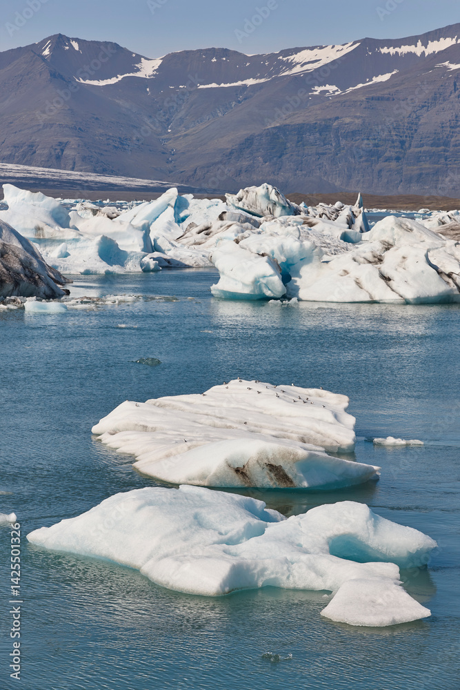Icebergs turquoise lake and snowy mountains. Jokulsarlon, Southeast area. Iceland.