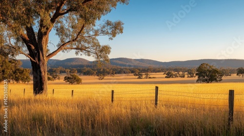 Golden Hour in the Australian Outback: A Serene Landscape