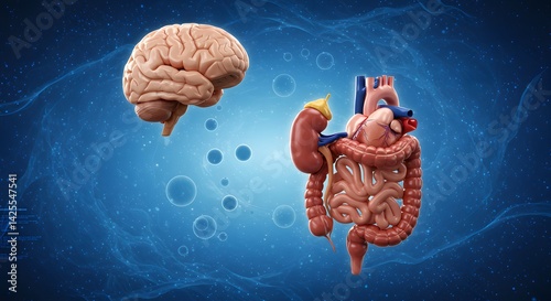 Understanding human anatomy brain gut connection and digestive system health for medical illustration