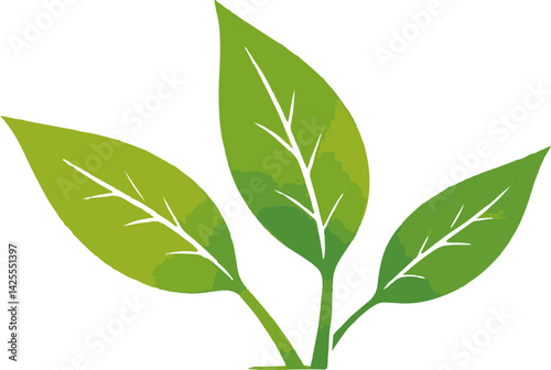 "Green Leaf Vector Logo – Eco-Friendly Nature Symbol with Clean Lines for Organic Products, Sustainable Branding, and Environmental Graphics"