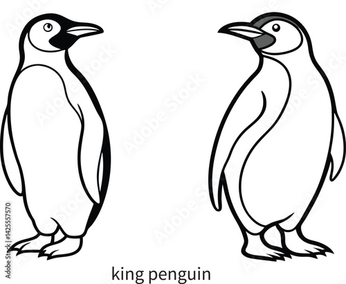 king penguin modern line art sketch