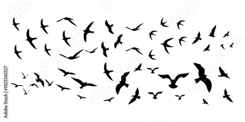 Flying Birds Silhouette