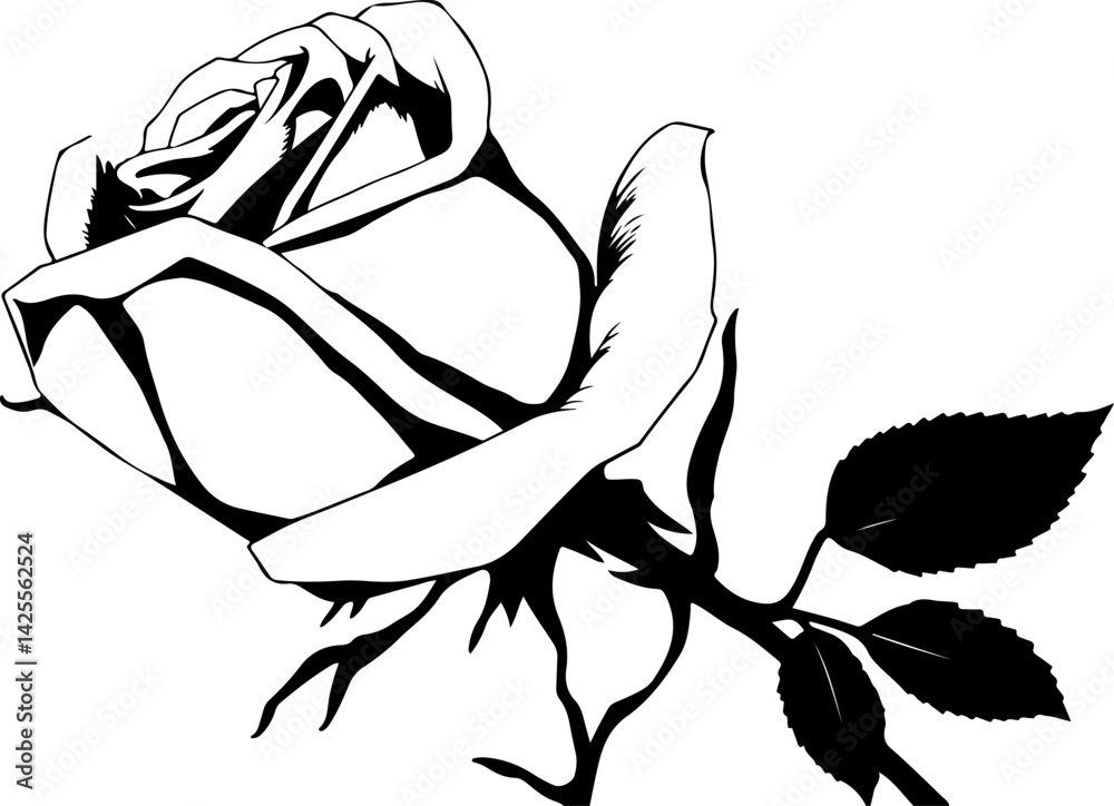 hand drawn rose hand drawn rose