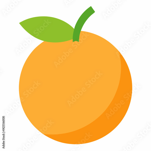 orange fruit vector illustration