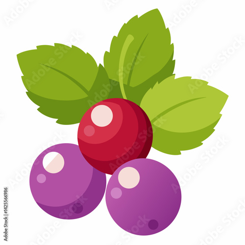 vector illustration of fresh berries