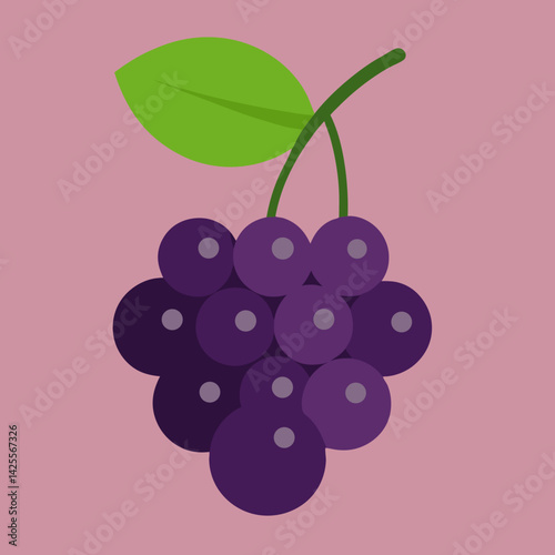 vector illustration of grapes