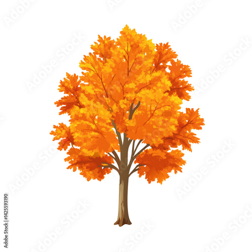 autumn tree isolated