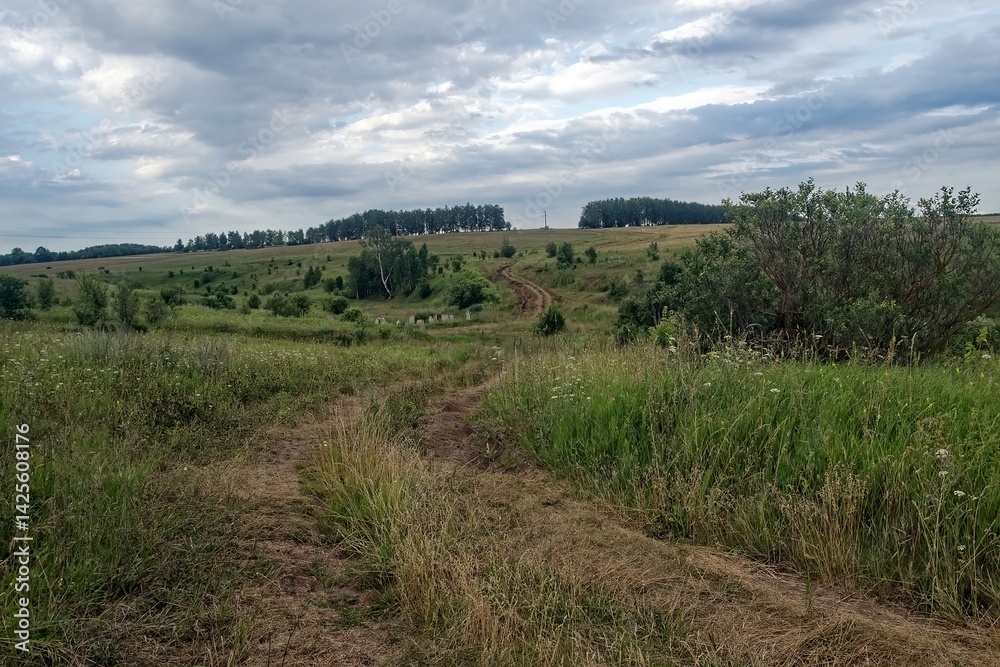 Obraz premium Dirt road in the countryside on a cloudy day