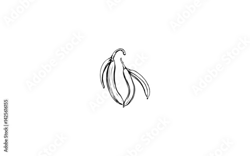 African Locust Bean Fruit - AI-Generated Vector of Long Pods with Smooth Dark Skin"

