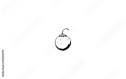Air Potato Fruit – AI-Enhanced Vector of Round Bulbous Form with Natural Rough Texture"