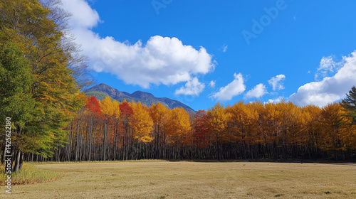 A multi-purpose visual content highlight autumnal landscape: quaking aspen among a mixed forest – a patchwork of golden maple, larch, tamarack, ginkgo, and northern maidenhair fern against a distant.