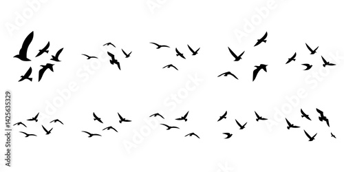 Flying Birds Silhouette