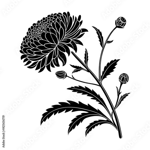 Silhouette of dense aster flower with layered petals vector illustration  
