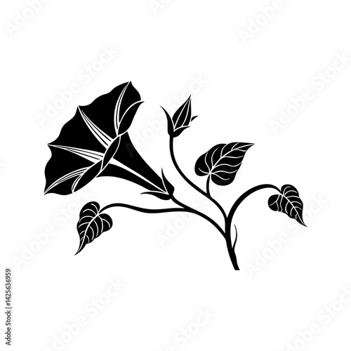 Morning glory flower with vine leaves vector illustration