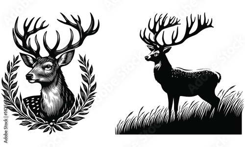 silhouette of deer