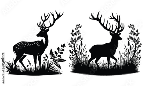 deer in the forest