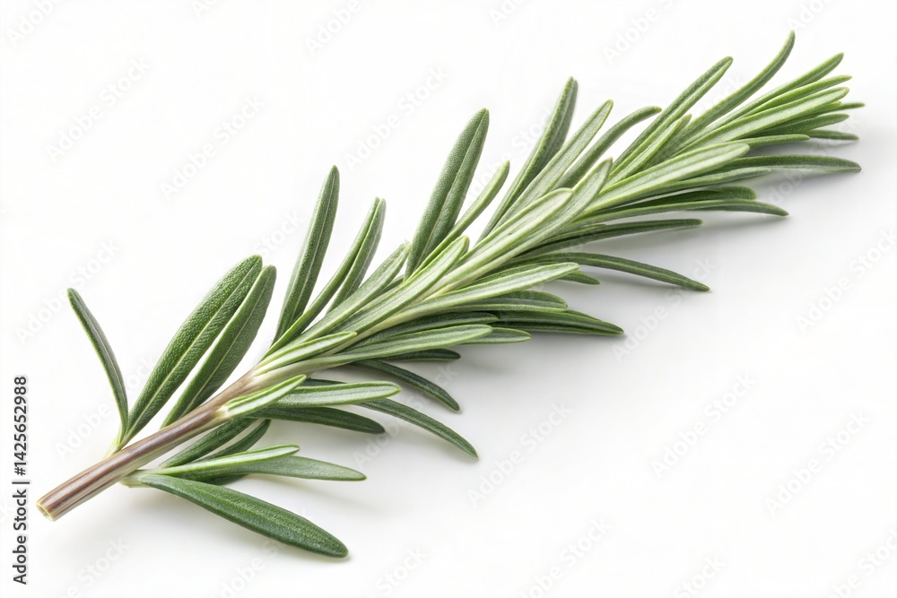 Fototapeta premium Rosemary sprig with vibrant green leaves, showing smooth texture and detailed structure, perfect for cooking, aromatherapy, and herbal remedies