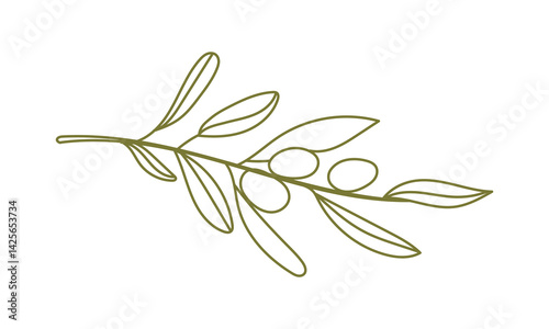 Olives Line Drawing. Green e Olive Frame. Olive Wreath Isolated. Floral Line Art. Fine Line Olive illustration. Black and white Olive Branches. Hand Drawn Olives. Wedding invitation greenery