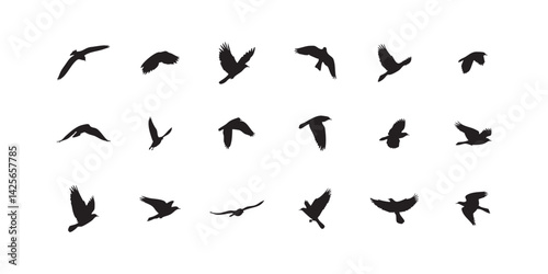 Flying birds silhouette vector illustration set isolated on white background