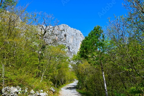 Obraz na płótnie Rock cliff rising above the trail in the forest in Paklenica national park in Croatia w salonie