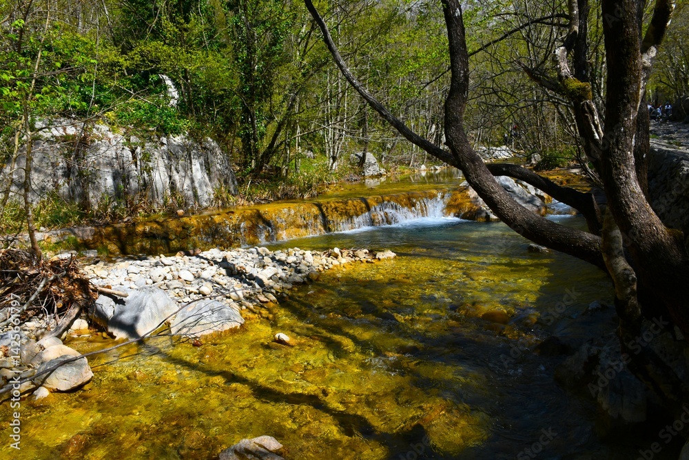 Creek flowing through a forest in Paklenica national park in Croatia